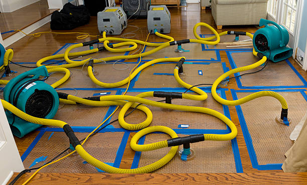 Professional Basement Flood Cleanup technician working in Perryville, KY